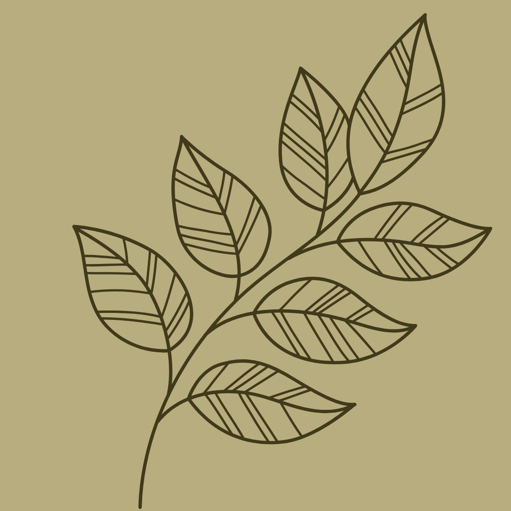 feature-item-4